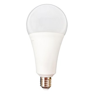 DANCELIGHT 舞光 LED全電壓燈泡 25W E27, 白光, 1個