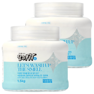 애경 탈취핏 다목적용 탈취제 본품, 1.5kg, 2개