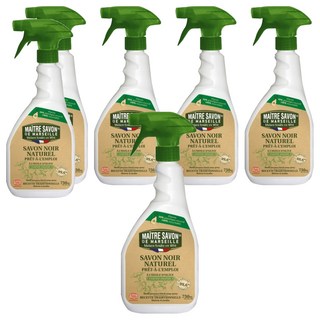 MAITRE SAVON DE MARSEILLE 玫翠思 黑肥皂強效家用去汙噴霧 法國百年皂廠製造 法國ECOCERT認證 750ML, 6瓶