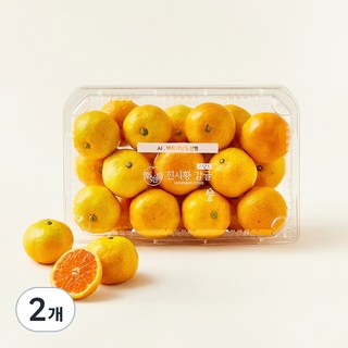 진시황 AI선별 고당도 감귤, 1kg, 2개