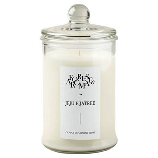 캔들백화점 포레스트 아로마 캔들, 제주비자, 750g, 1개