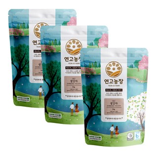 Yeongonongjang 韓國產烘乾薑茶, 50g, 1包, 3包