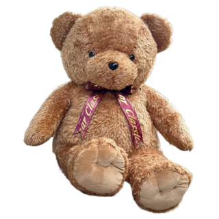 AllBeMine 歐比邁 大熊熊玩偶 39吋 台灣填充棉花 長毛柔柔熊, 1個