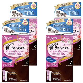 Bigen 美源 花果香快速染髮霜 濃密乳霜質地 染髮劑, 6暗棕色, 4盒