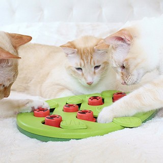 니나오토슨 버건아웃 퍼즐노즈워크 강아지 고양이 IQ장난감, 혼합색상, 1개