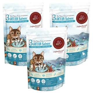 REAL POWER 瑞威 3號 乾飼料 低敏好吸收 亮毛護膚 添加有機紅藜和胺基酸, 海洋魚貝, 500g, 3包