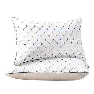 深睡眠抗菌防蟎枕頭 2入組, 45 x 74cm, 提升睡眠品質，享受健康舒適的睡眠體驗, 白色, 1組