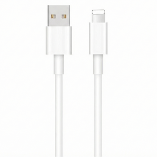 ITS LIFE Lightning 8 Pin 快速充電線 Lightning to USB-A 支援iPod iPad iPhone, 2m, 白色, 1條