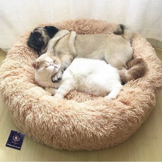 딩동펫 반려동물 폭신 도넛 방석, 크림오렌지, 1개