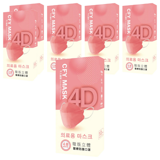 久富餘 KF94韓版 4層立體醫療口罩 雙鋼印 20.5 x 8cm, 柚見晨曦, 10片, 6盒
