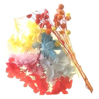 A-ONE 匯旺 浮游花DIY花材包，天然植物乾燥花，產品尺寸(含包裝)約12 x 12 CM, 斑斕金彩 彩色