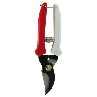 SELLERY 舍樂力 170mm 檳榔剪/園藝剪, 1個