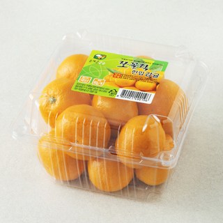 올레길 쪼꼴락 Ai 당도선별 11brix 한입감귤 꼬마과, 800g, 1박스