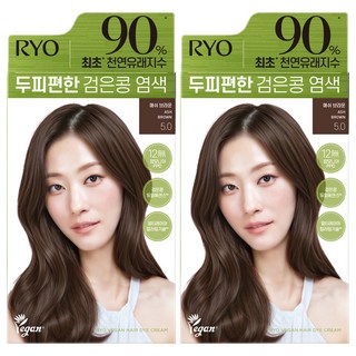 려 두피편한 검은콩 염색제 120g, 5.0 애쉬브라운, 2개