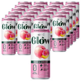핫식스 글로우 복숭아 & 살구 음료, 24개, 355ml