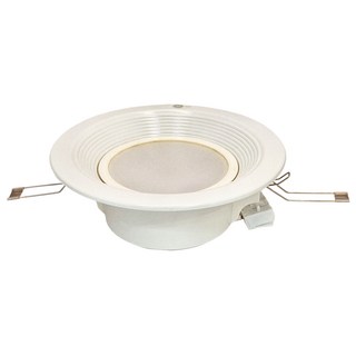 GE 奇異 LED崁燈 10W 30K 崁孔150mm 黃光, 1個