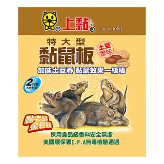 PROCATCH 上黏 土豆味黏鼠板 (特大型), 2片, 1盒