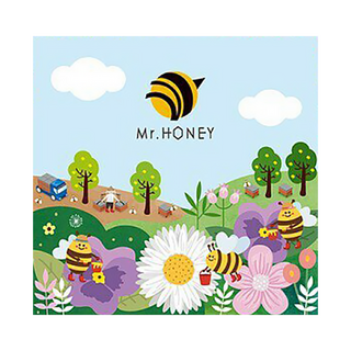 Mr.HONEY 蜂蜜先生 甜心禮盒9入, 台灣產蜂蜜, 多種口味隨機搭配, 225g, 1盒