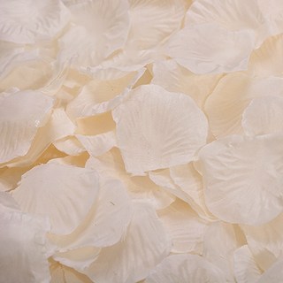 Partybok.com 玫瑰花瓣花灑 500片, 1組, 香檳色