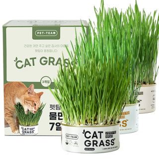 펫팀 고양이 캣그라스 간식, 혼합맛(새싹보리/새싹귀리/새싹밀), 35g, 3개