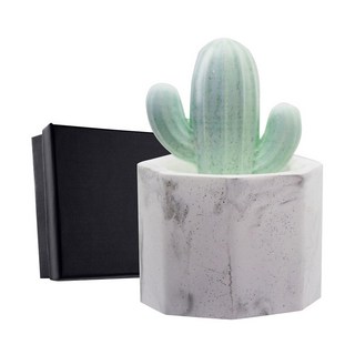 O'Pretty 歐沛媞 室內車用香氛擴香石擺飾 綠色仙人掌 8 x 5.5 x 5.5cm, 無香味, 1個