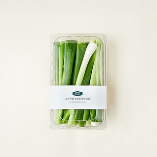 친환경 인증 프리미엄 절단대파, 500g, 1개