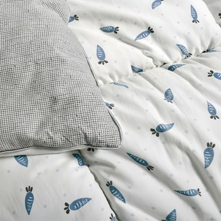 EmBrace 英柏絲 田中保暖試驗 石墨烯發熱被保暖冬被胎, 柔滑親膚, 無毒纖維, 舒適透氣, 雙人(210 x 180cm), 蘿蔔田