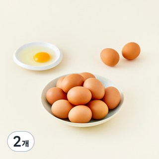 가농 오늘낳은 농장직송 비타민에그 1+ 등급 특란, 25구, 2개