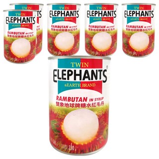 TWIN ELEPHANTS 雙象地球牌 糖水紅毛丹, 565g, 6罐