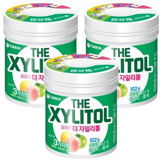 오리온 깔끔한 더 자일리톨, 102g, 3개