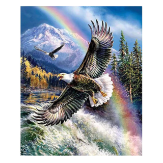 創彩 鑽石畫, 老鷹, 1個