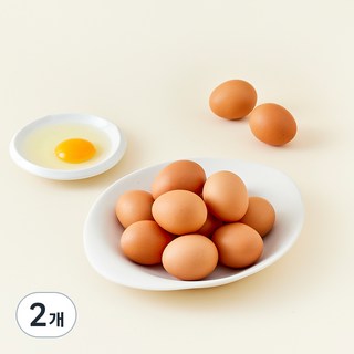 가농 오늘낳은 농장직송 1+ 등급 특란, 25구, 2개