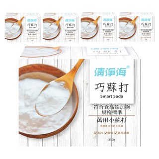 清淨海 巧蘇打 萬用小蘇打, 350g, 5盒