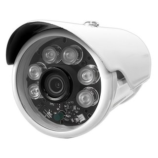 Transitions 全視線 TS-200W1 監控攝影機 HD日夜兩用型紅外線攝影機 配備200萬畫素感光元件 內建IR CUT濾光鏡片, 1個