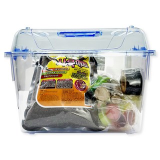 펫츠핸들러 장수풍뎅이 사슴벌레 클린 곤충 사육세트, 혼합색상, 1세트