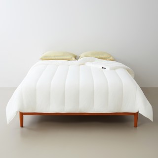 센타스타 레볼루션 프리미엄 솔로 이불