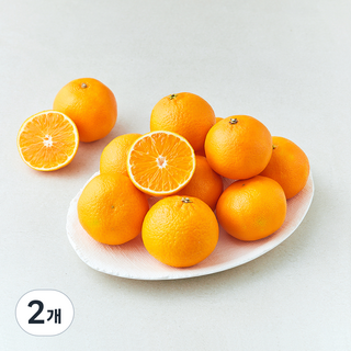 선우마케팅 미국산 만다린, 2개, 700g