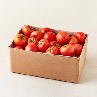 곰곰 완숙 토마토, 5kg, 1개