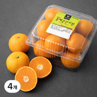 올레길감귤 당도선별 진지향, 1kg, 4개