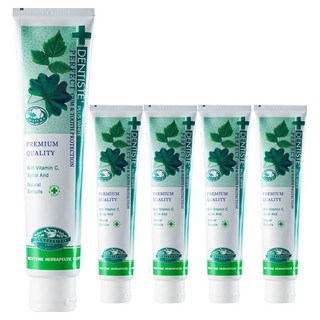 덴티스테 플러스 화이트 치약, 200g, 5개