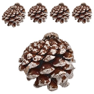 松果 6cm, 噴雪, 1組