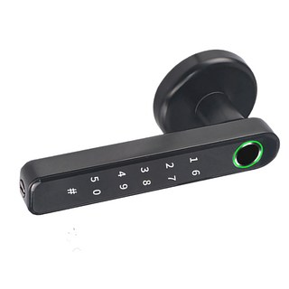 昇瑋 196指紋水平把手鎖 黑色, 客戶直接安裝, 1個, 196