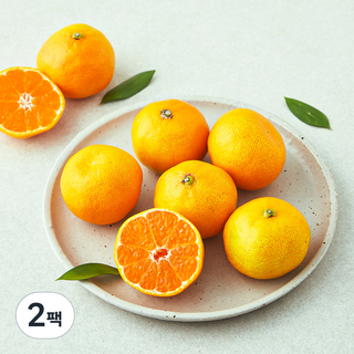당도선별 11brix 감귤 (로열과), 500g(로열과), 2개