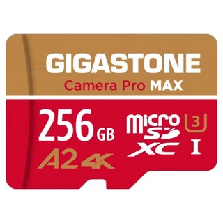 GIGASTONE 立達 Camera Pro MAX microSDXC UHS-I U3 A2 4K 錄影監控記憶卡, 256GB, 1個