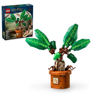 LEGO 樂高 哈利波特 魔蘋果 Mandrake, 可擺姿勢展示盆中魔法植物, Mixed, 1盒