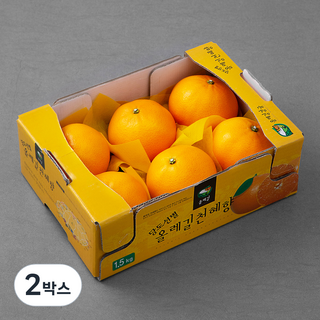 올레길 AI 당도선별 13.5brix 고당도 천혜향, 1.5kg(중과,5~7입), 2박스