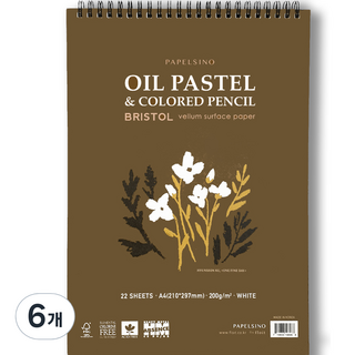 파펠시노 오일파스텔 색연필전용 종이 스케치북 브리스톨지 스프링형, A4, 22매, 6개