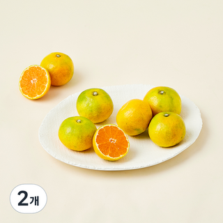 올푸릇 GAP 인증 저탄소 하우스 감귤, 2개, 500g