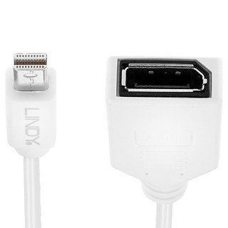 LINDY 林帝 mini-DisplayPort 公 to DisplayPort 母 轉接線, 1條, 20cm