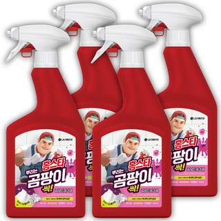 홈스타 뿌리는 곰팡이 싹 후로랄향 세정제, 750ml, 4개